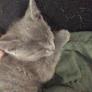 Meet your Posher, Jordan